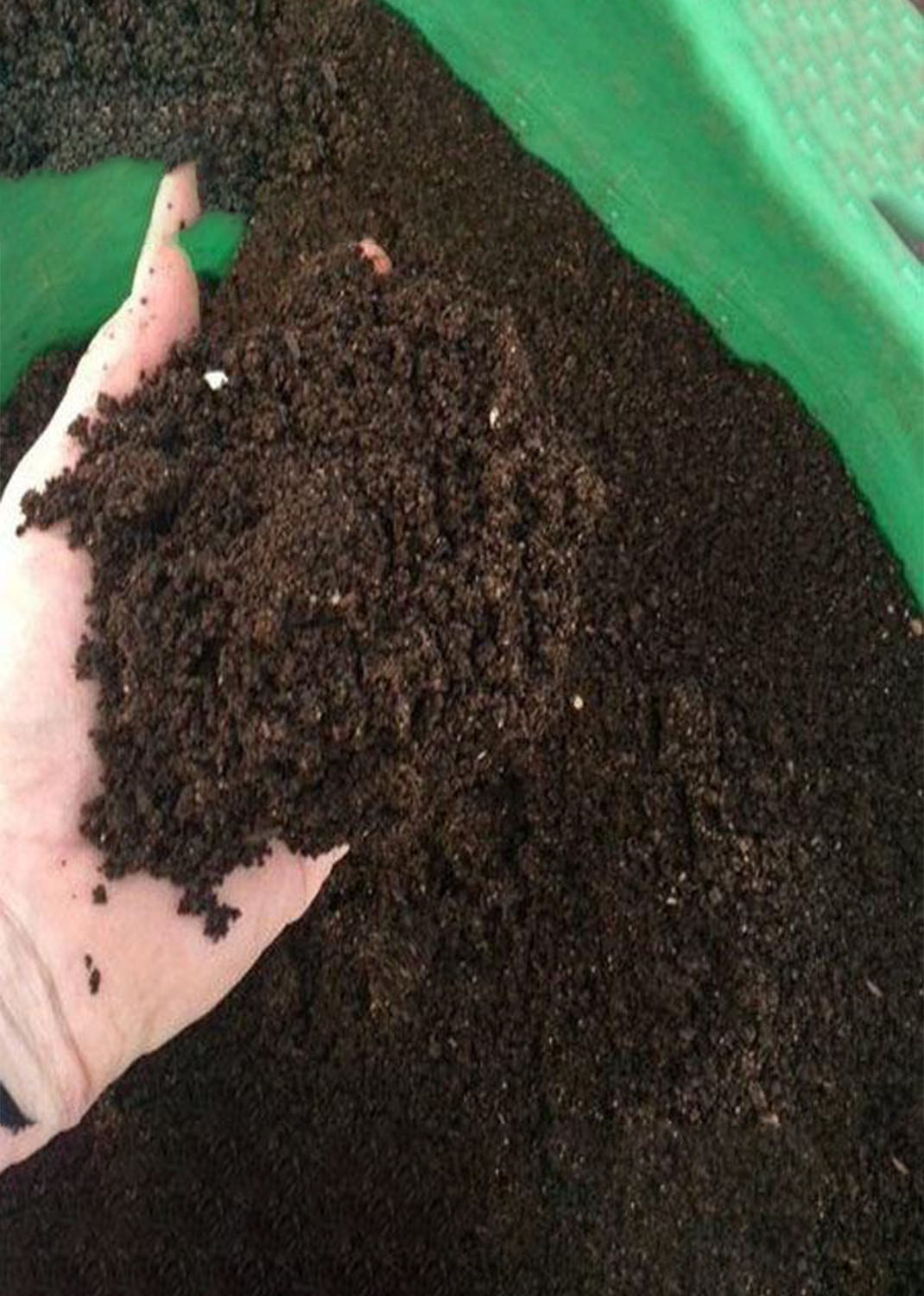 Black Gold Organic Vermi Fertilizer